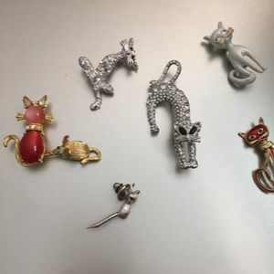 For the Kitty Lovers